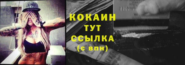 ГАЛЛЮЦИНОГЕННЫЕ ГРИБЫ Вяземский