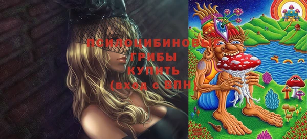 apvp Горнозаводск