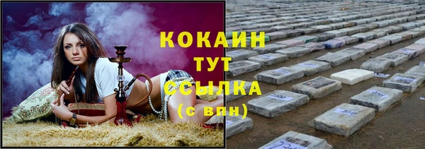 амф Горняк