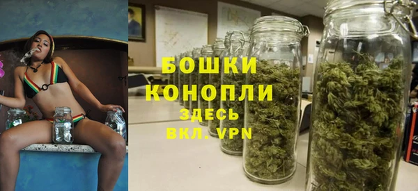 амф Горняк