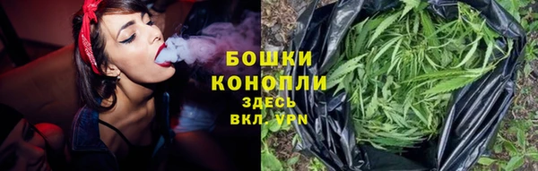 apvp Горнозаводск