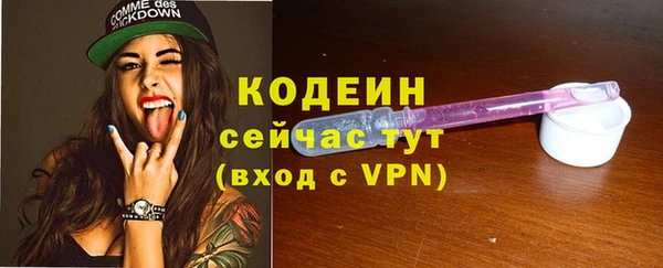 apvp Горнозаводск