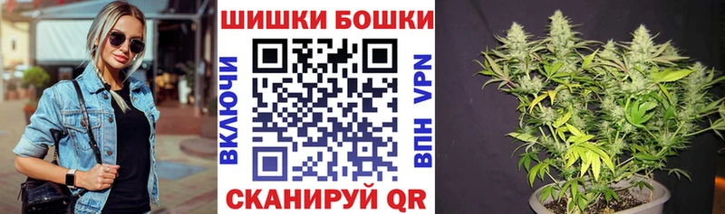Бошки Шишки планчик  Дигора 